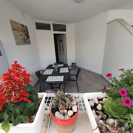Apartment Luxury Oasis
